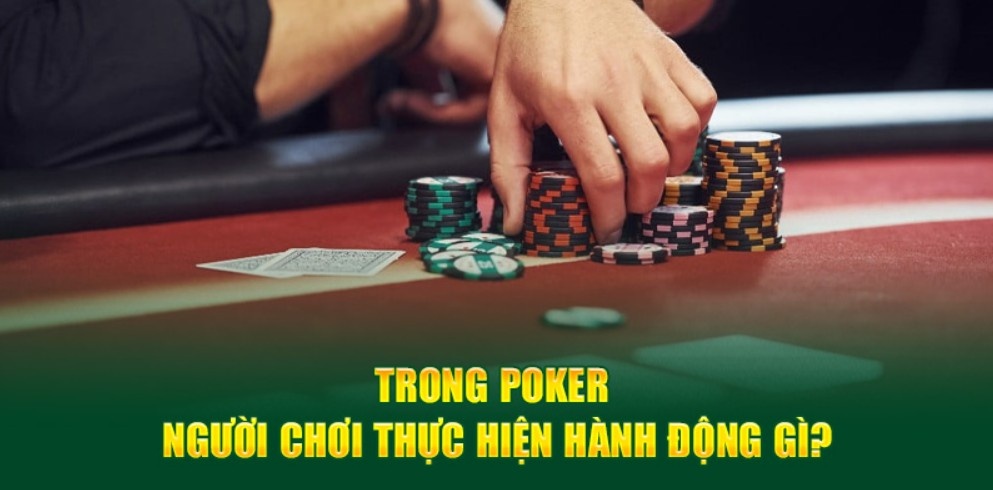 Các hành động trong ván poker